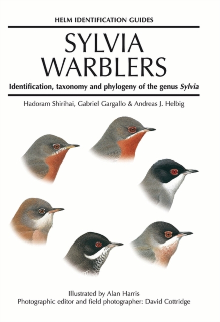 Sylvia Warblers : Identification, taxonomy and phylogeny of the genus Sylvia, Hardback Book