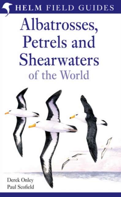 Field Guide to Albatrosses, Petrels and Shearwaters of the World, Paperback / softback Book