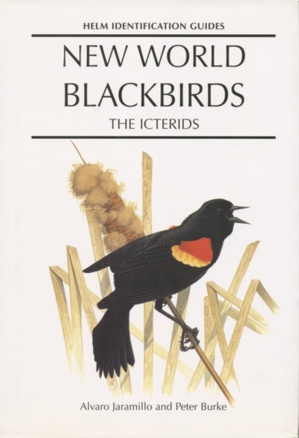 New World Blackbirds : The Icterids, Hardback Book