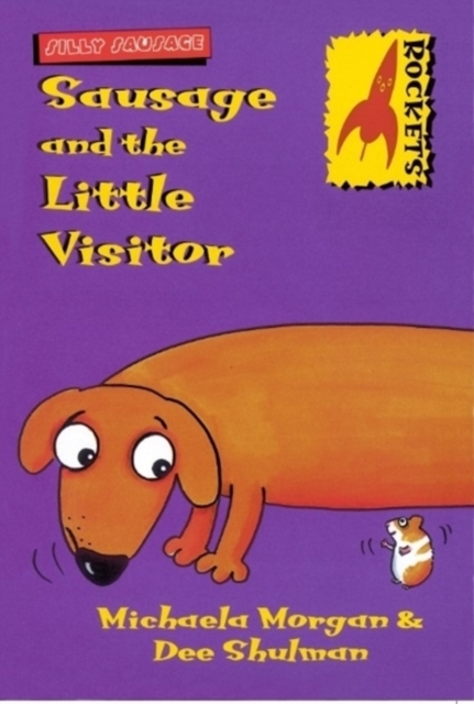 Sausage and the Little Visitor, Paperback / softback Book