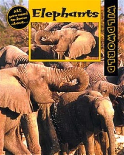 Elephants, Paperback Book