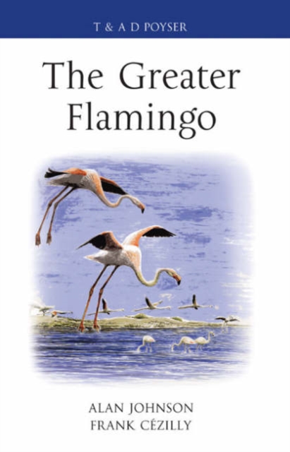 The Greater Flamingo, Hardback Book