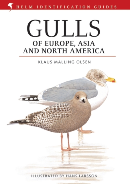 Gulls of Europe, Asia and North America, Hardback Book