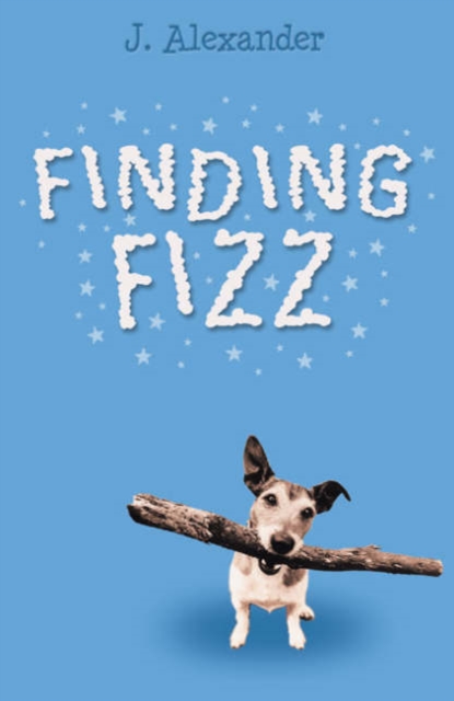 Finding Fizz, Paperback / softback Book