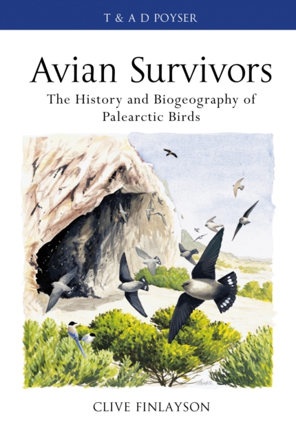 Avian survivors : The History and Biogeography of Palearctic Birds, Hardback Book