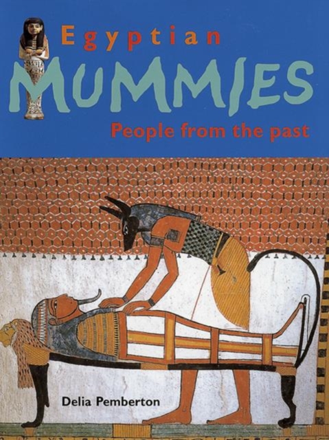 Egyptian Mummies, Paperback Book