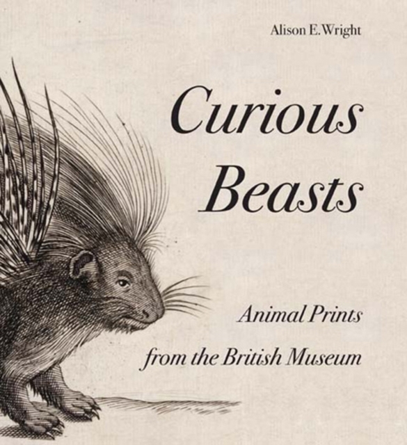 Curious Beasts : Animal Prints from the British Museum, Paperback / softback Book