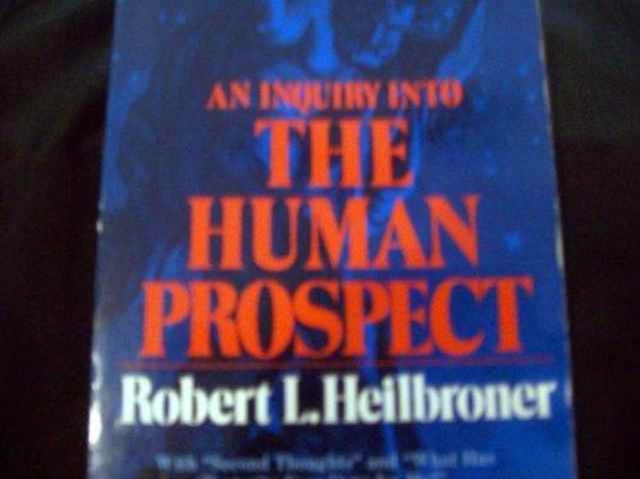 An Inquiry into the Human Prospect, Paperback / softback Book