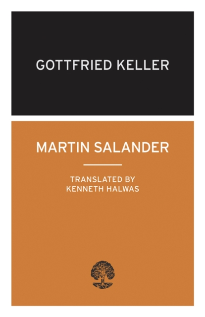 Martin Salander, Paperback / softback Book