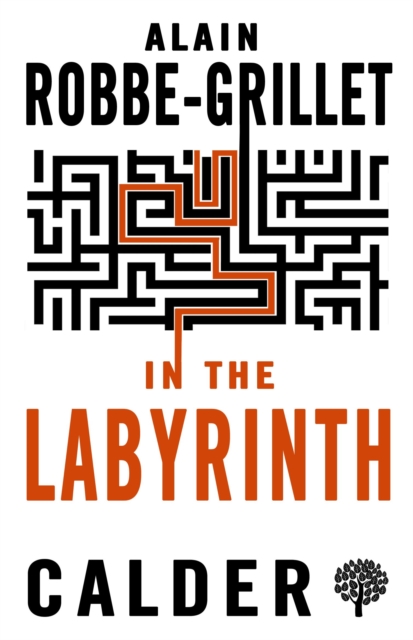 In the Labyrinth, Paperback / softback Book