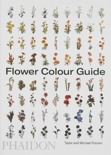 Flower Colour Guide, Paperback / softback Book