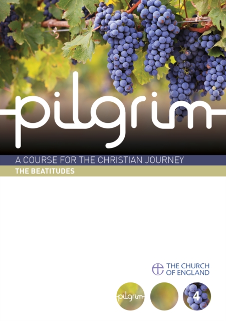 Pilgrim : Book 4 (Follow Stage), Paperback / softback Book