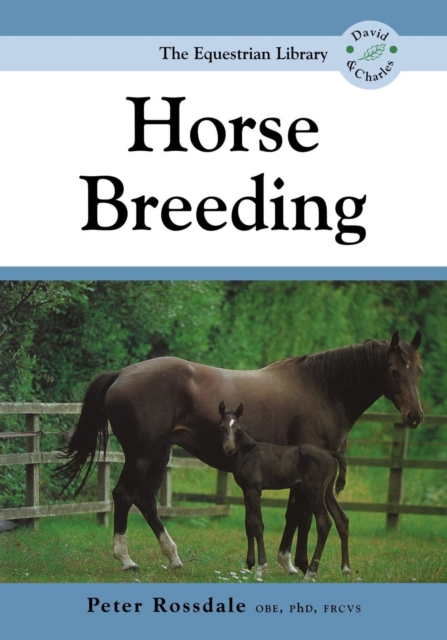 Horse Breeding, Paperback / softback Book