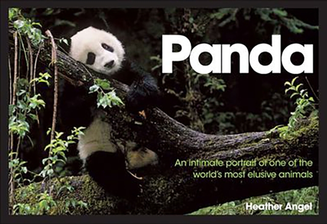 Panda : An Intimate Portrait of One of the World's Most Elusive Creatures, EPUB eBook