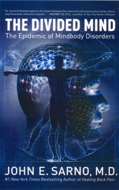 The Divided Mind : The Epidemic of Mindbody Disorders, Paperback / softback Book