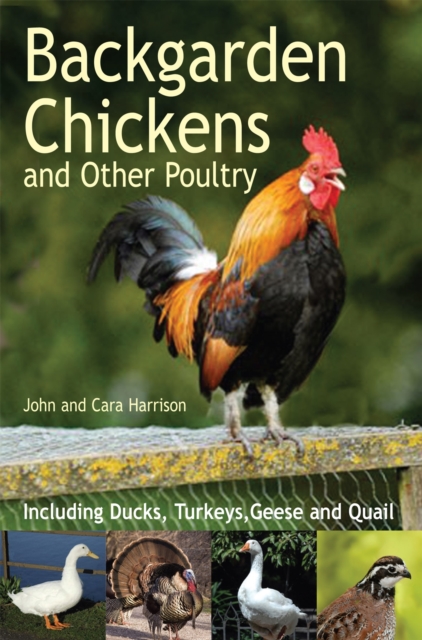 Backgarden Chickens and Other Poultry, Paperback / softback Book