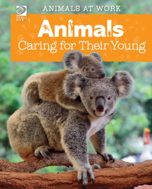 Animals Caring for Their Young, PDF eBook