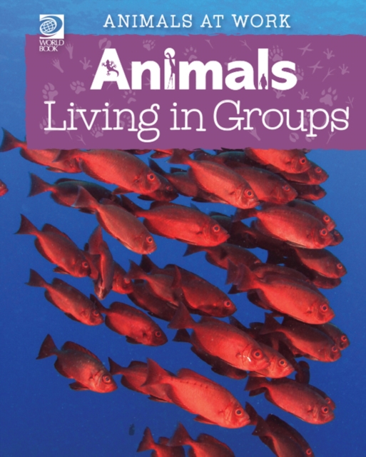 Animals Living in Groups, PDF eBook
