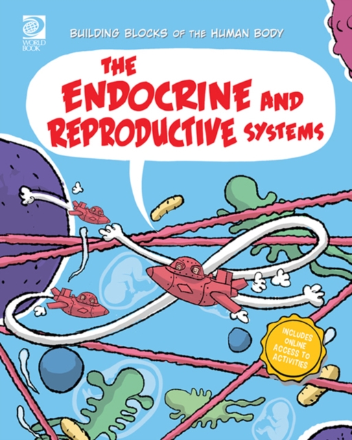 The Endocrine and Reproductive Systems, PDF eBook