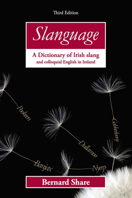 Slanguage : A Dictionary of Irish Slang and Colloquial English in Ireland, Paperback / softback Book