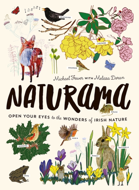 Naturama : Open Your Eyes to the Wonders of Irish Nature, Hardback Book