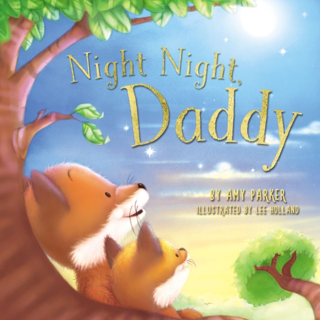 Night Night, Daddy, Board book Book