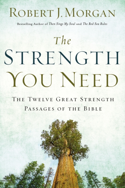 The Strength You Need : The Twelve Great Strength Passages of the Bible, Hardback Book