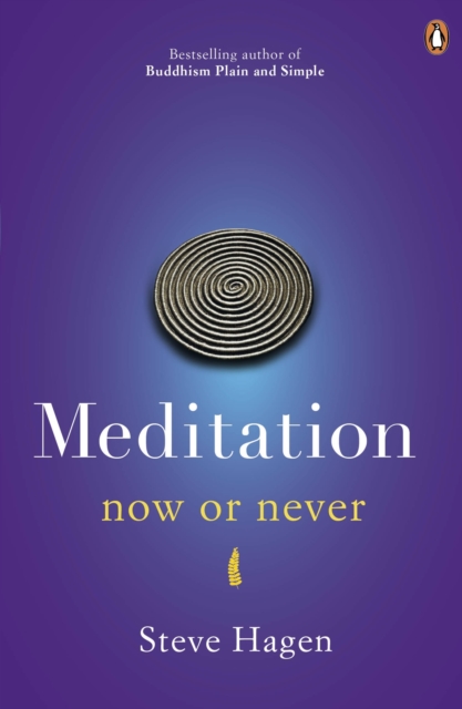 Meditation Now or Never, EPUB eBook