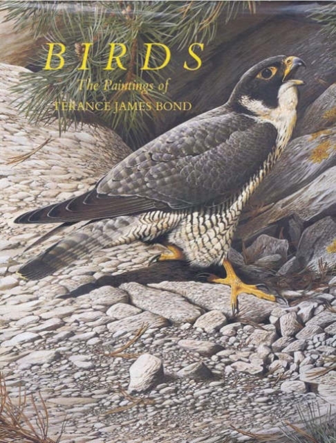 Birds, Leather / fine binding Book
