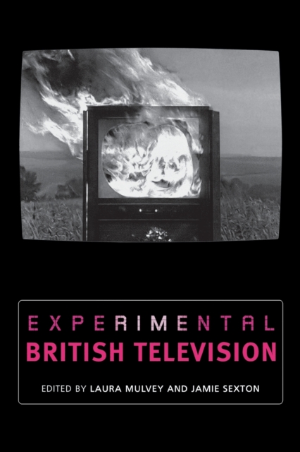 Experimental British Television, Paperback / softback Book