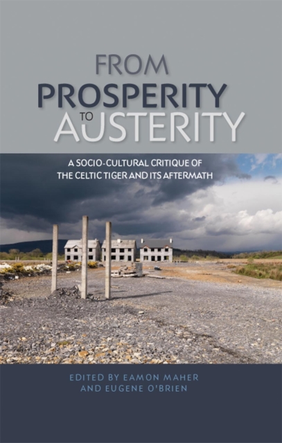 From Prosperity to Austerity : A Socio-Cultural Critique of the Celtic Tiger and its Aftermath, Paperback / softback Book