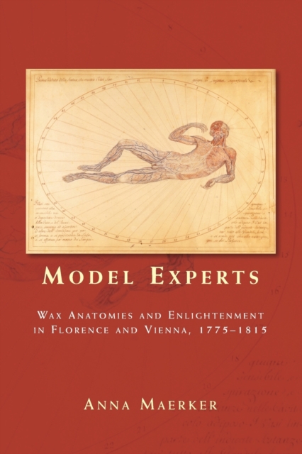 Model Experts : Wax Anatomies and Enlightenment in Florence and Vienna, 1775-1815, Paperback / softback Book