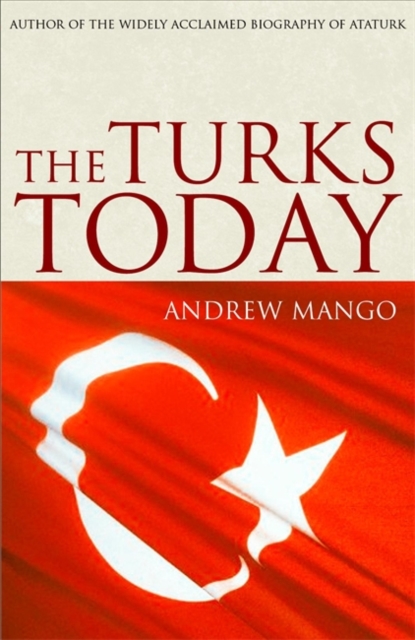 The Turks Today, Paperback / softback Book