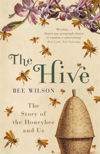 The Hive, Paperback / softback Book