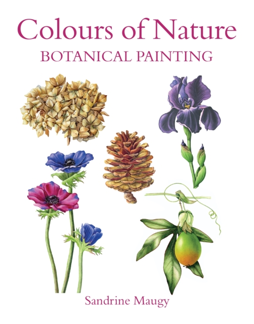Colours of Nature : Botanical Painting, Paperback / softback Book
