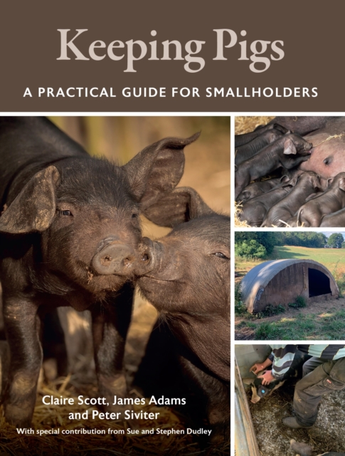 Keeping Pigs, EPUB eBook
