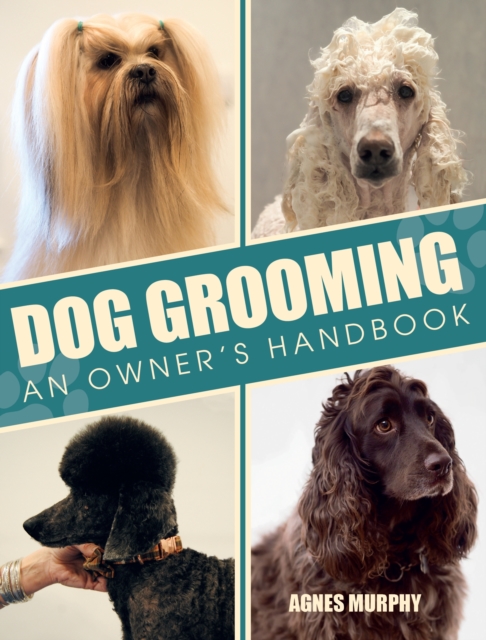 Dog Grooming : An Owners Handbook, Paperback / softback Book