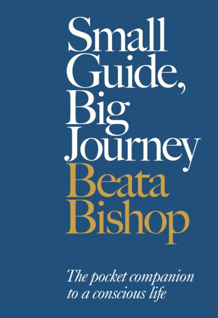 Small Guide, Big Journey, EPUB eBook