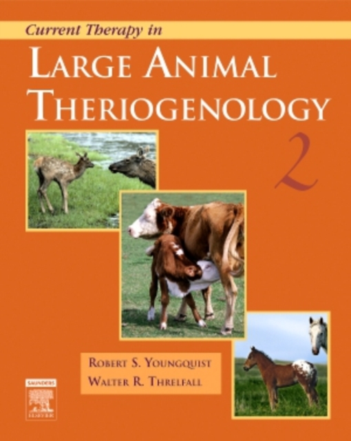 Current Therapy in Large Animal Theriogenology, Hardback Book