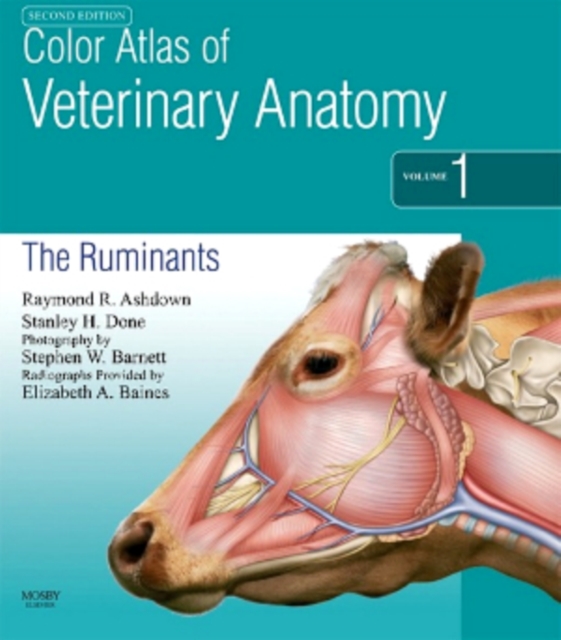 Color Atlas of Veterinary Anatomy, Volume 1, The Ruminants E-Book : Color Atlas of Veterinary Anatomy, Volume 1, The Ruminants E-Book, EPUB eBook
