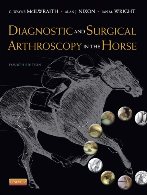 Diagnostic and Surgical Arthroscopy in the Horse, EPUB eBook
