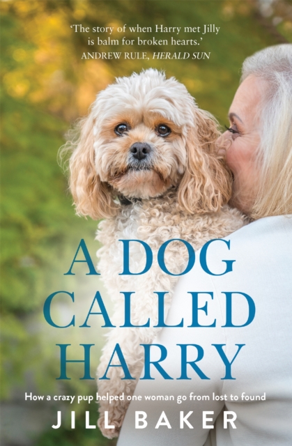 A Dog Called Harry, Paperback / softback Book