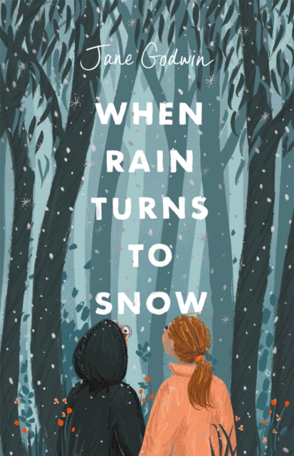 When Rain Turns to Snow, Paperback / softback Book