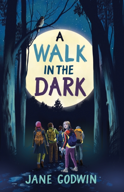 A Walk in the Dark, Paperback / softback Book