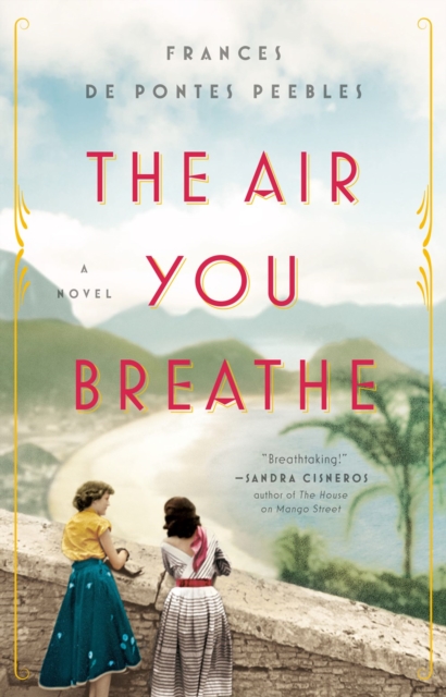 The Air You Breathe : A Novel, Paperback / softback Book
