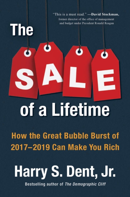 Sale of a Lifetime, EPUB eBook
