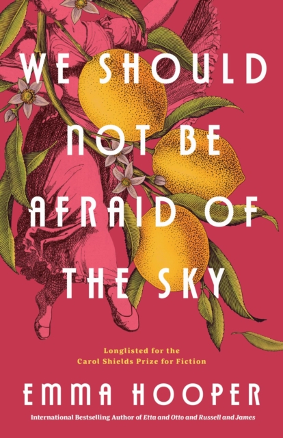 We Should Not Be Afraid Of The Sky, Paperback / softback Book