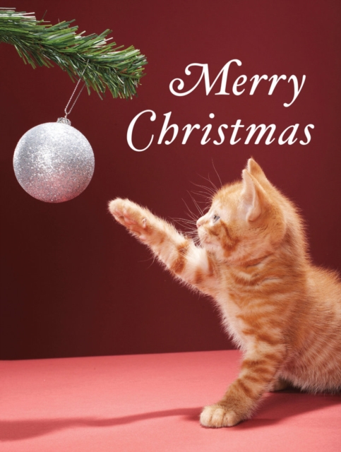 Christmas Kitty Boxed Holiday Full Notecards, Cards Book