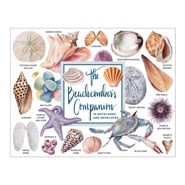 The Beachcomber's Companion Greeting Assortment Notecards, Cards Book