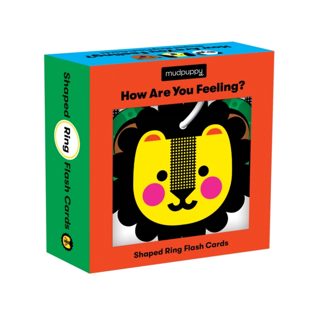 How Are You Feeling? Shaped Ring Flash Cards, Cards Book